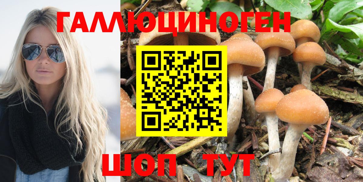 Галлюциногенные грибы ЛСД  Вход с VPN  Саяногорск 